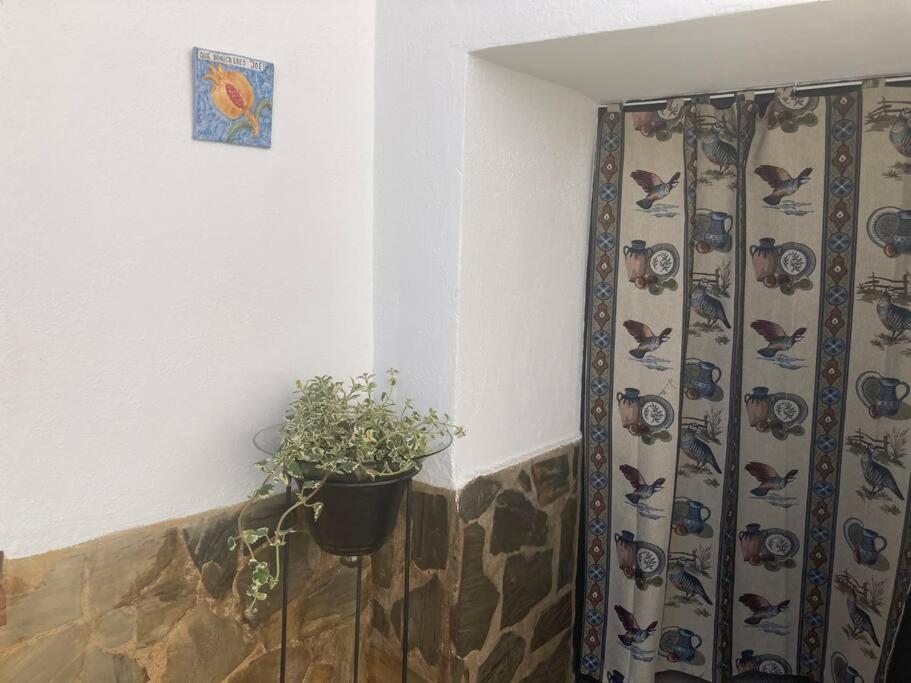 Casa Cueva Rural Estacion De Guadix Villa Exteriör bild
